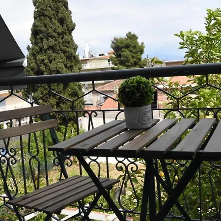 Dionysia-anezina * Tolón